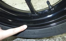 KAWASAKI ZX-25R 1988 ZX250E