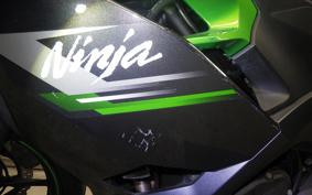 KAWASAKI NINJA 250 2022 EX250Y