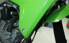KAWASAKI KLX230S 2010 LX232A