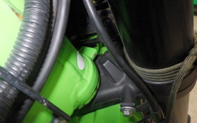 KAWASAKI KLX250 Gen.2 2019 LX250S