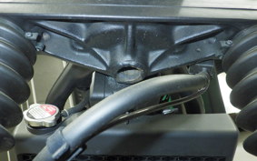 HONDA REBEL 250 A MC49