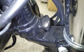KAWASAKI W800 2022 EJ800E