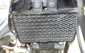 HYOSUNG GV250