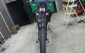 YAMAHA WR250X DG15J