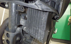 SUZUKI ｼﾞｸｻｰ250SF 2019 ED22B