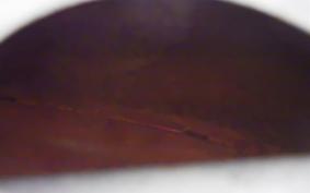 KAWASAKI Z400 FX 1980 KZ400E