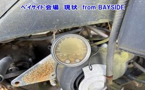 OTHER ヨンリン バギー