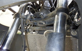 KAWASAKI NINJA 250 ABS EX250L