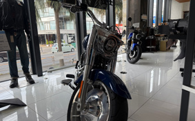 HARLEY  HARLEY FLFBS 2023 YGK