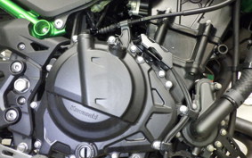 KAWASAKI Z250 Gen.2 2024 EX250Y