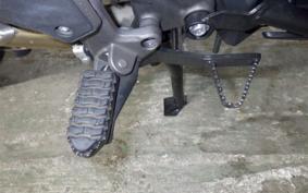 TRIUMPH TIGER 1200 2019