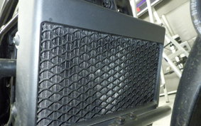 HONDA REBEL 250 A MC49