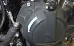 KTM 790 DUKE 2020