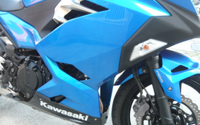 KAWASAKI Ninja 250 ABS EX250P