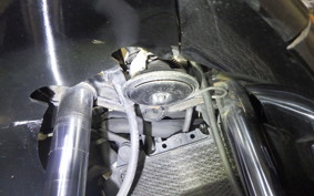 KAWASAKI ZZ-R250