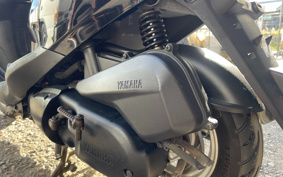 YAMAHA AKUSHI STREET SE53J