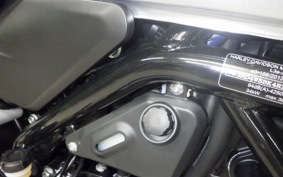HARLEY X500 2024