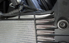 YAMAHA MT-25 A RG74J