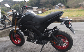 KAWASAKI Z125 PRO BR125H