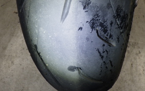 SUZUKI GSX-S1000 Gen.2 2022 EK1AA