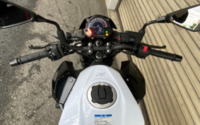 KAWASAKI Z400 2019 EX400G