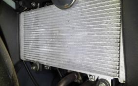 KAWASAKI NINJA 250 EX250L