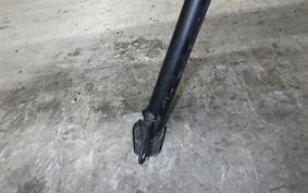 TRIUMPH TRIDENT 660 2025