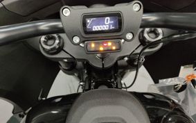 HARLEY FXLRST1920 2024 YXZ