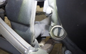 KAWASAKI NINJA 250 ABS EX250L