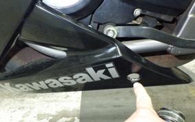 KAWASAKI Ninja 150RR