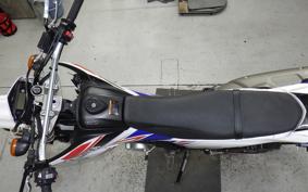 YAMAHA WR250X 2018 DG15J