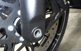 HARLEY FLHXSE1980CVO 2025