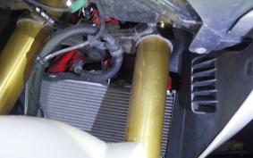 HONDA CBR250RR A 1994 MC51