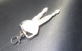 HONDA FORESIGHT EX