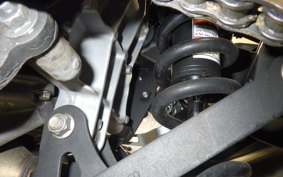 KAWASAKI NINJA 250 EX250P