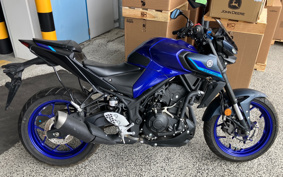 YAMAHA MT-25 RG74J