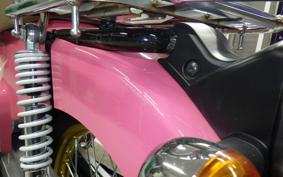 HONDA C50 SUPER CUB 2009 AA09