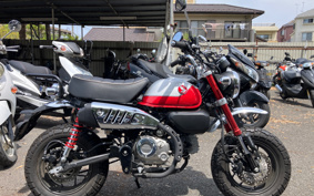 HONDA  MONKEY 125 JB03