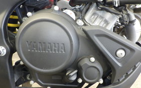 YAMAHA MT-15