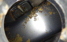 OTHER +UNREGISTERED MODEL by BDS125