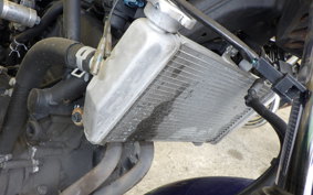 YAMAHA YZF-R25 A RG10J