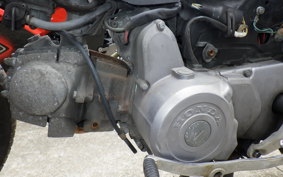 HONDA C100 SUPER CUB 2024 HA06