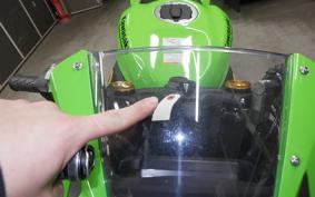 KAWASAKI ZX-4RR 2024 ZX400P