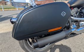 HARLEY  HARLEY FLSB SPORT GURAIDO 2020 YMJ