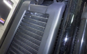 HARLEY FXLRST1920 2025