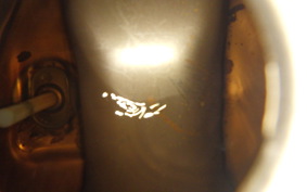 HONDA MONKEY 2022 Z50J