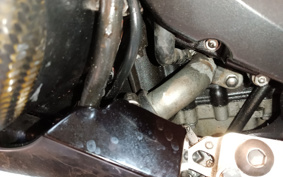 TRIUMPH DAYTONA675 2010 TMD116