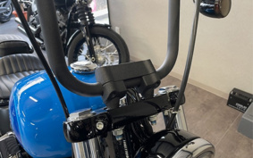 HARLEY FXBBS 2022 YYK
