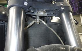 TRIUMPH STREET TRIPLE RS 2017