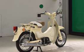 HONDA LITTLE CUB E 2007 AA01